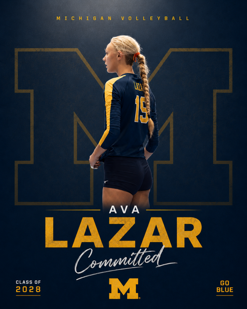 Style 1 - Iconic Logo commitment graphic sample